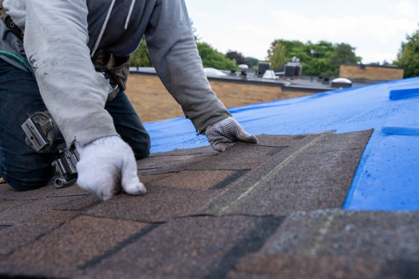 Best Residential Roofing Contractor  in Perry, OH