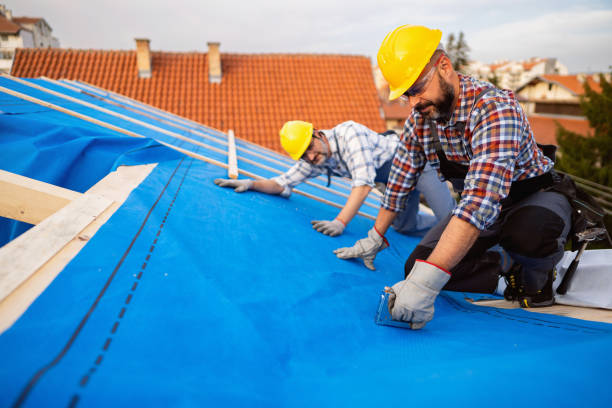 Best Residential Roof Replacement  in Perry, OH